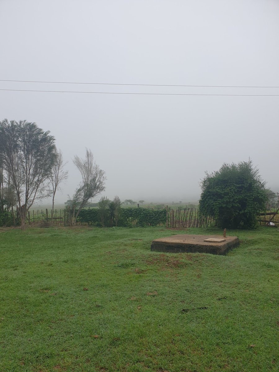 #Eldoret this morning.  Early morning planting hay in this weather. #feedingthenation