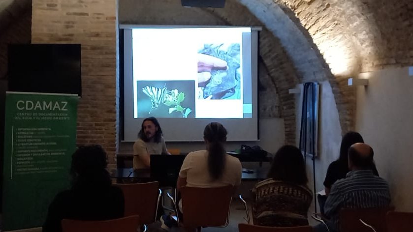 CDAMAZ's tweet photo. 🦋Contando mariposas🦋 con Iñaki Peláez de la #eBMS, nos dejó con ganas de aprender más sobre monitorización e identificación de especies como indicadores ambientales.
Iñaki es el único censador de Zaragoza y se buscan personas para voluntariado en Aragón
https://t.co/wQbiUUVn9Y https://t.co/59Eq9sEj7Q