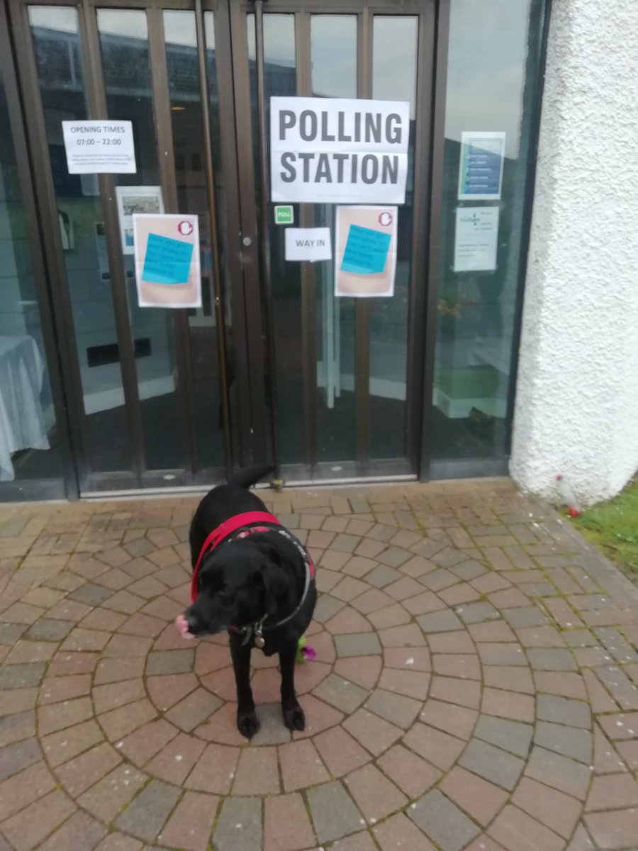 sheonagho's tweet photo. @VotingDogs Dexter up early for his first vote living in Somerset #dogsatpollingstations https://t.co/Lb1SJPURtM