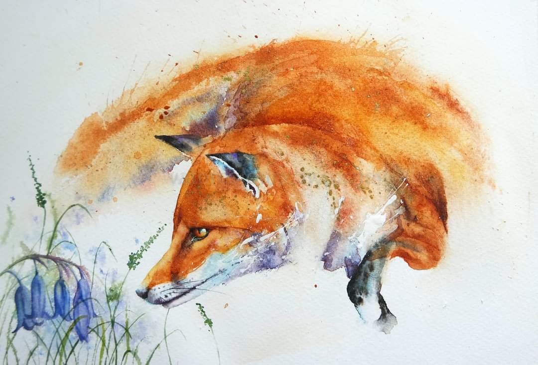 Tiptoe through the bluebells ...

Happy Thursday x

#watercolour #Watercolourpainting #foxesontwitter #fox #Devon #Bluebells #BluebellSeason #flowers #painting #wildlife #artist #painting #artist #wildlifeart #animalportrait