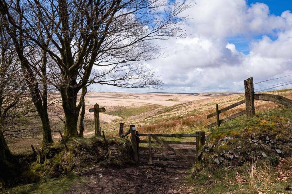 Sarah Hailstone @exmoorwithjack has a guided walk coming up. She says: On 12 May I am leading this 10-ish-mile walk for @exmoorsociety to visit some of the Knights’ former farmsteads and sheep enclosures, including the stunning Three Combes Foot. Terrain… instagr.am/p/Crz4csIMoq2/