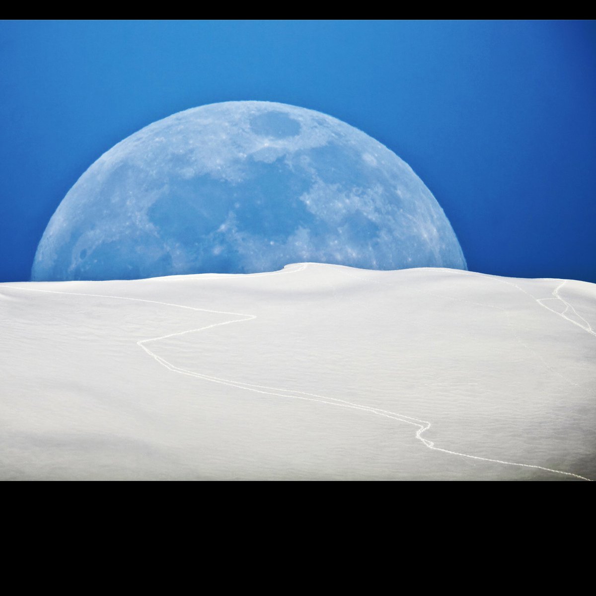 MikaelPassereau's tweet photo. Lune de mai sur le Grand Colon

Lever de Lune 4 mai 2023

Qui reconnaît sa trace ?

#alpes #grenoble #mygrenoble #igersgrenoble #iseretourisme #isereledepartement #frenchalps #isere #igersrhonealpes
#canon #celestron #c8hd
 #moonphotography #moonrise #belledonne #grandcolon https://t.co/YkcWJIiblW