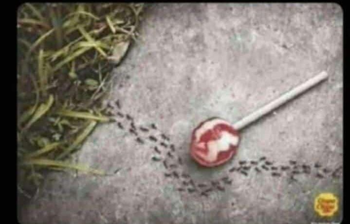 @zeng mc tweet media