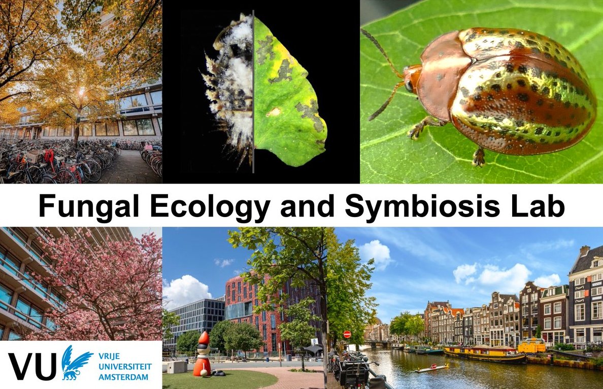 Beyond happy to share that I will be starting a new position as an Assistant Professor at @ALIFE_VU @VUamsterdam this fall! My lab will be recruiting soon, so please reach out if symbiosis, chemical ecology & fungal genomics strike your fancy!