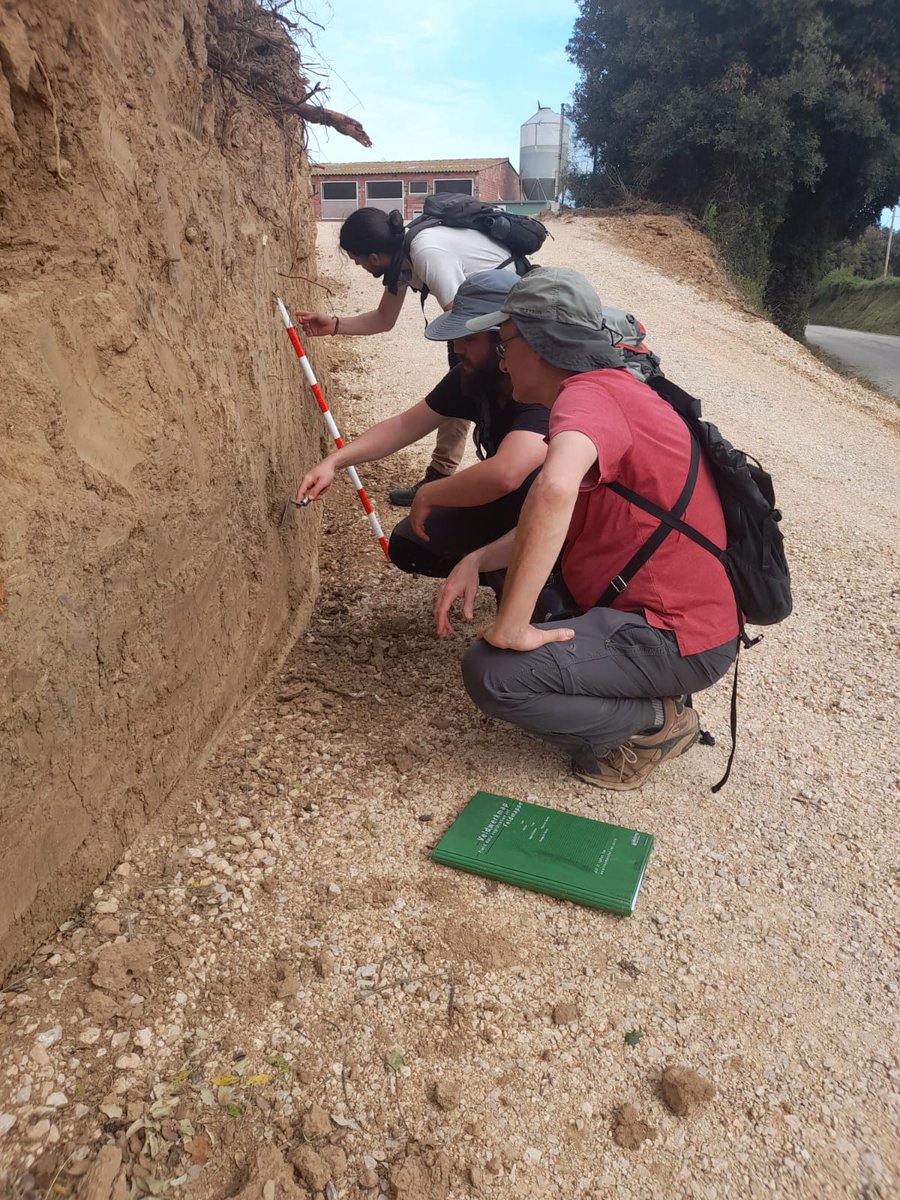 GIAP_ICAC's tweet photo. 👀Did you miss our thread?
Check the team's report on last week's archaeomorphological survey on the territorial setting of the Roman-Republican centuriation of Empúries:
ℹ️https://t.co/tw8FkIvlck
#ArqueoTer #Quadriennal #TranScapes #Archaeomorphology
@ICAC_cat https://t.co/DIxTflUcnE