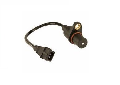 🪴ديموُ tweet media