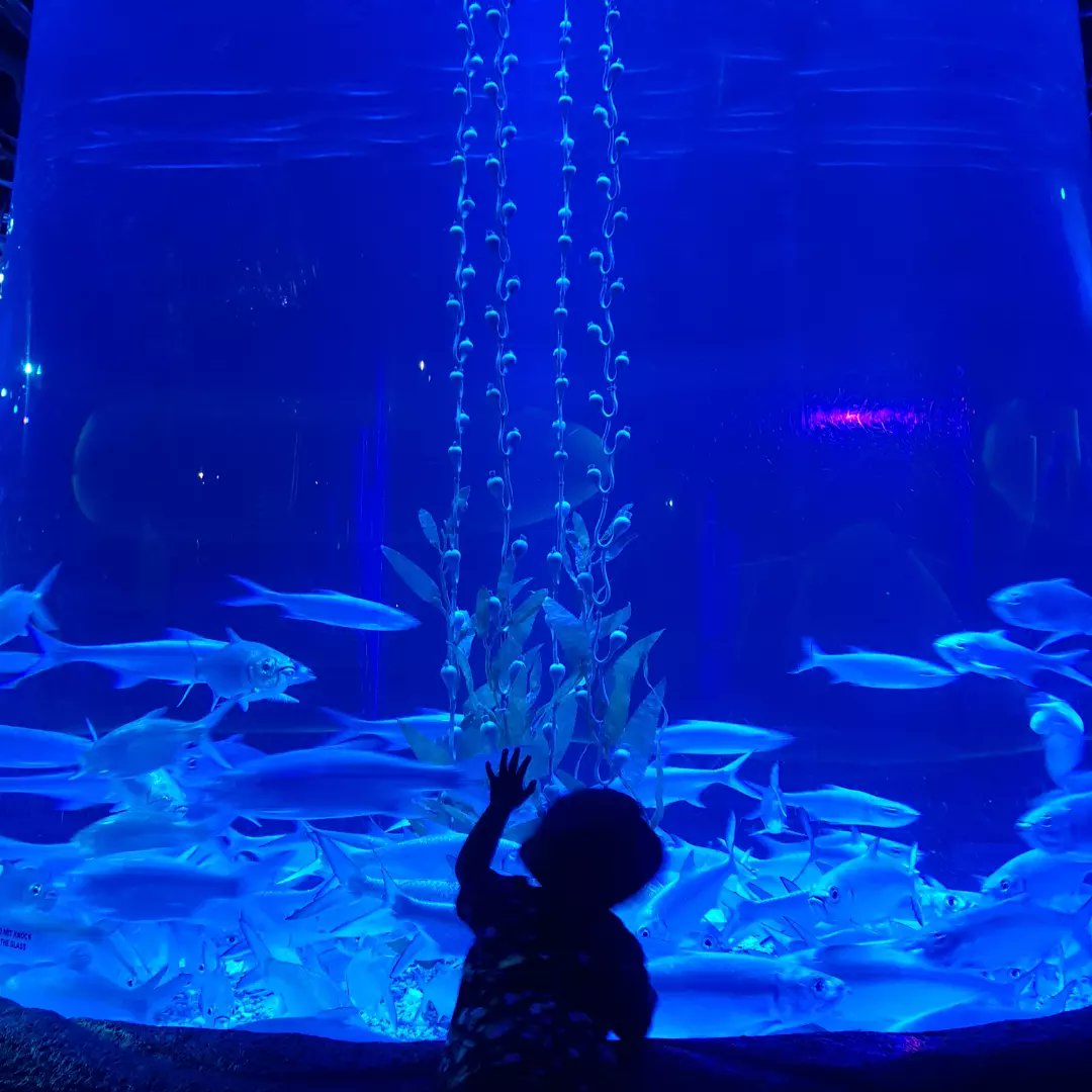 Bahagiaku sangat sederhana