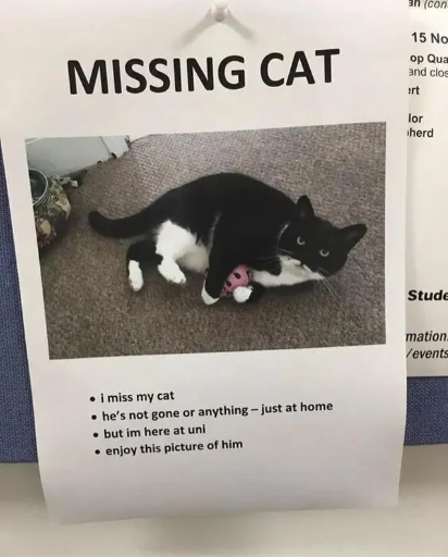WholesomeMemes tweet media