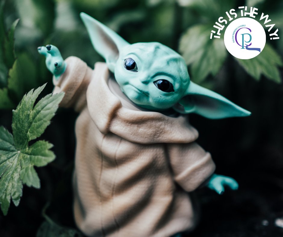 pathfindercymr's tweet photo. Happy #StarWarsDay from #PathfindersCymru! Although we cant meet today, we're still celebrating the lessons of hope, perseverance, and the Force that we learned from the galaxy far, far away. May the 4th be with you! #MayThe4th Photo by Lisa Fotios https://t.co/ZTWyFyGbL1 https://t.co/fmkzytcGXX
