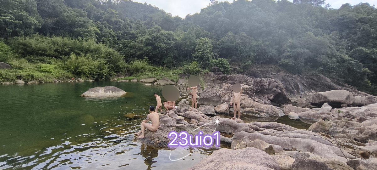 椰子树 tweet media