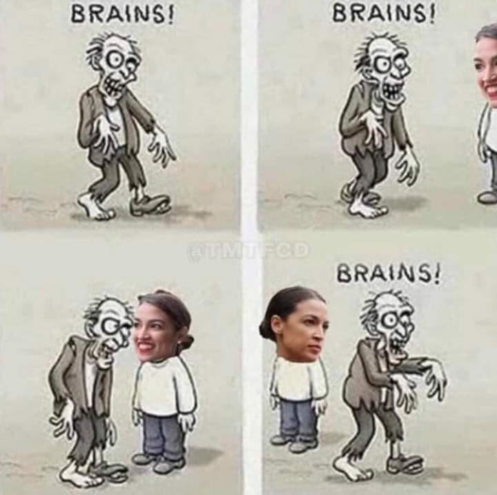 Catturd ™ (@catturd2) on Twitter photo 