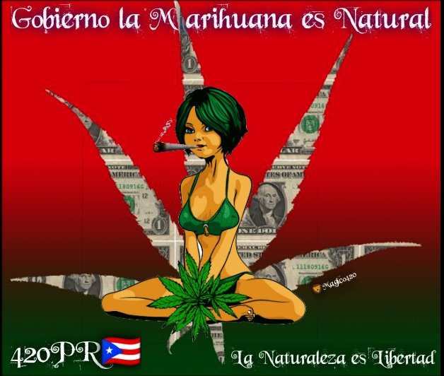 Fernand49034227's tweet photo. 🍁🍁🍁 Legalicen Marihuana
#420PR🇵🇷 https://t.co/KpLfIBPLXs