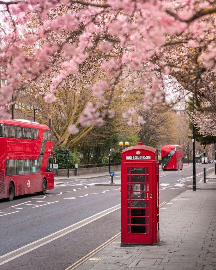 h e l e n a ☃️🌸🍁 tweet media