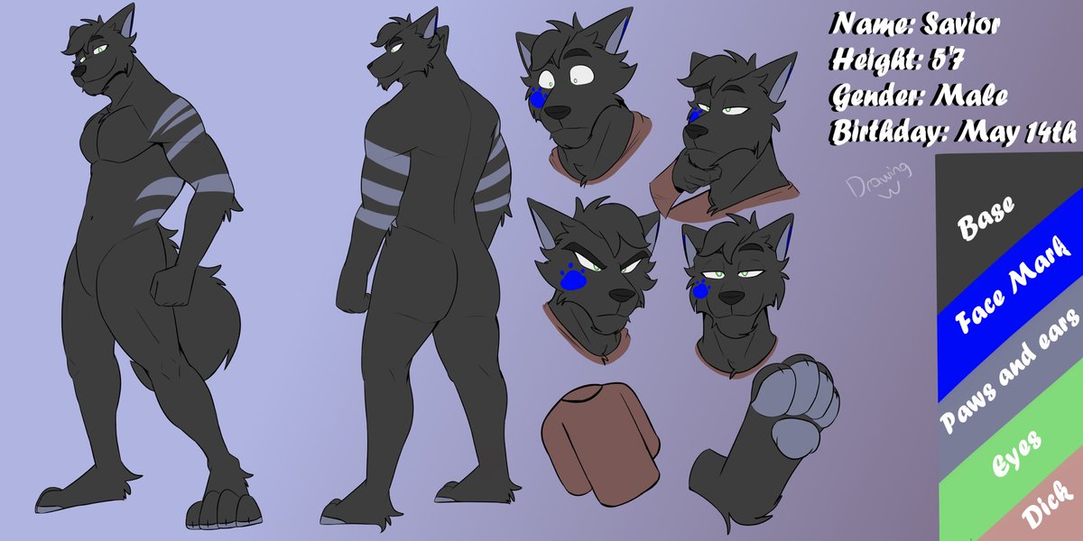 Savior Husky 🔜 ??? tweet media