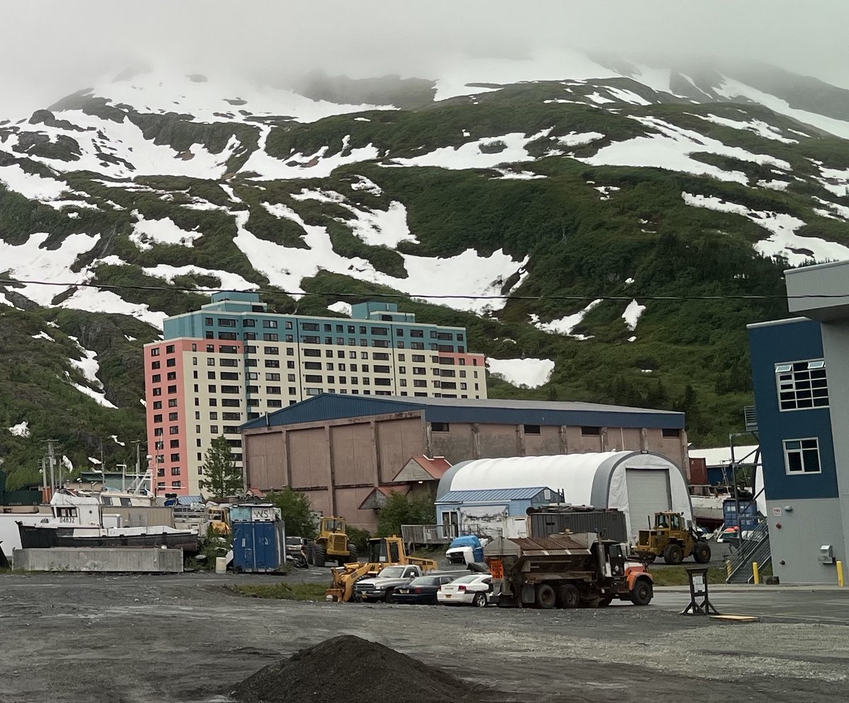 Dave Loftis tweet media