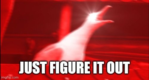 ThePeynuta tweet media