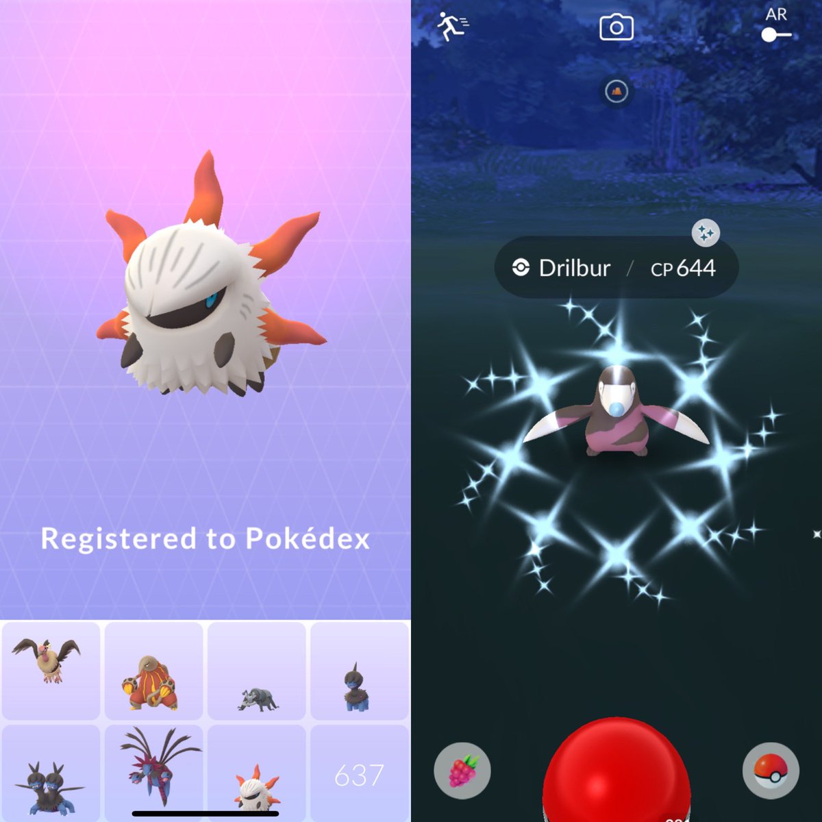 ProfessorLotas's tweet photo. Today’s highlights hatched the elusive worm and got my 4th drilbur today good day today! 🐛 ✨🏔️
#PokemonGo #ShinyPokemon #Larvesta https://t.co/CUwWb9FrEw