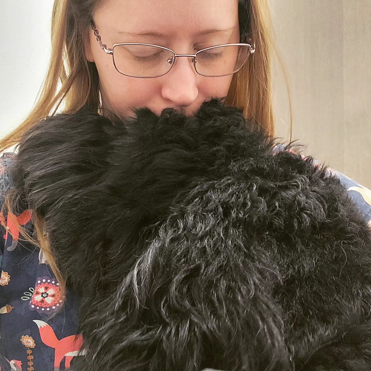 groomergirl92's tweet photo. Sometimes you just need some cuddle time 🥰 #coloradosprings #petgrooming #nailtrim #thebarkside #dogsoftwitter #doodle https://t.co/Eimiap5hZj