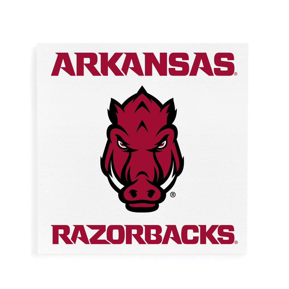 Kobe_Metcalf's tweet photo. 🚩 🚩 #UniversityofArkansas I’m otw this summer to give that work on the field !!!
#Metcalfblood 
#WPS
#CAMPBOUND
@tjmetcalf3 @TevisMetcalf @CoachTMetcalf @PlayBookAthlete @LandonMetcalf09 @T_WILL4REAL https://t.co/WjmjdzxLsl