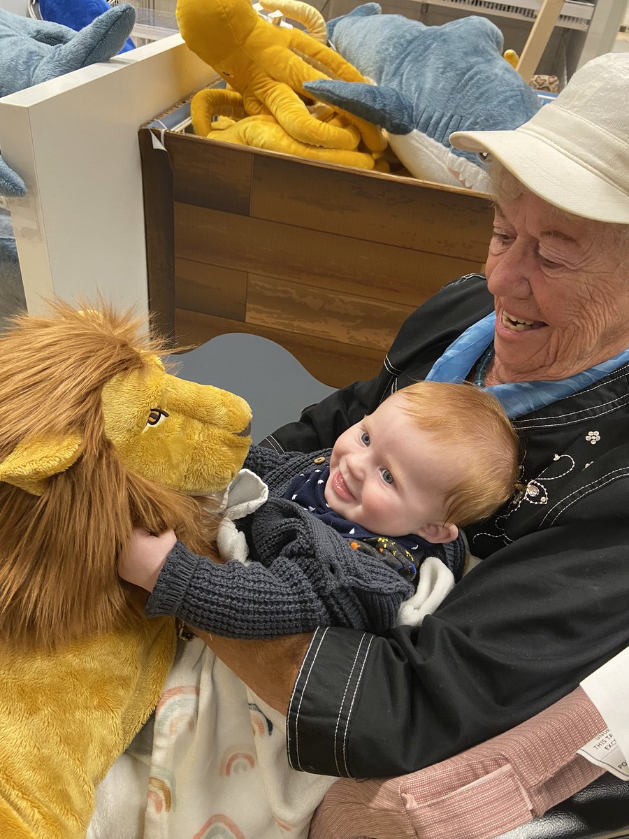 My grandma. Cameron’s great-grandma. Just enjoying the stuffed animal section at <a href="/IKEAUSA/">IKEA USA</a>. 🥹🦁