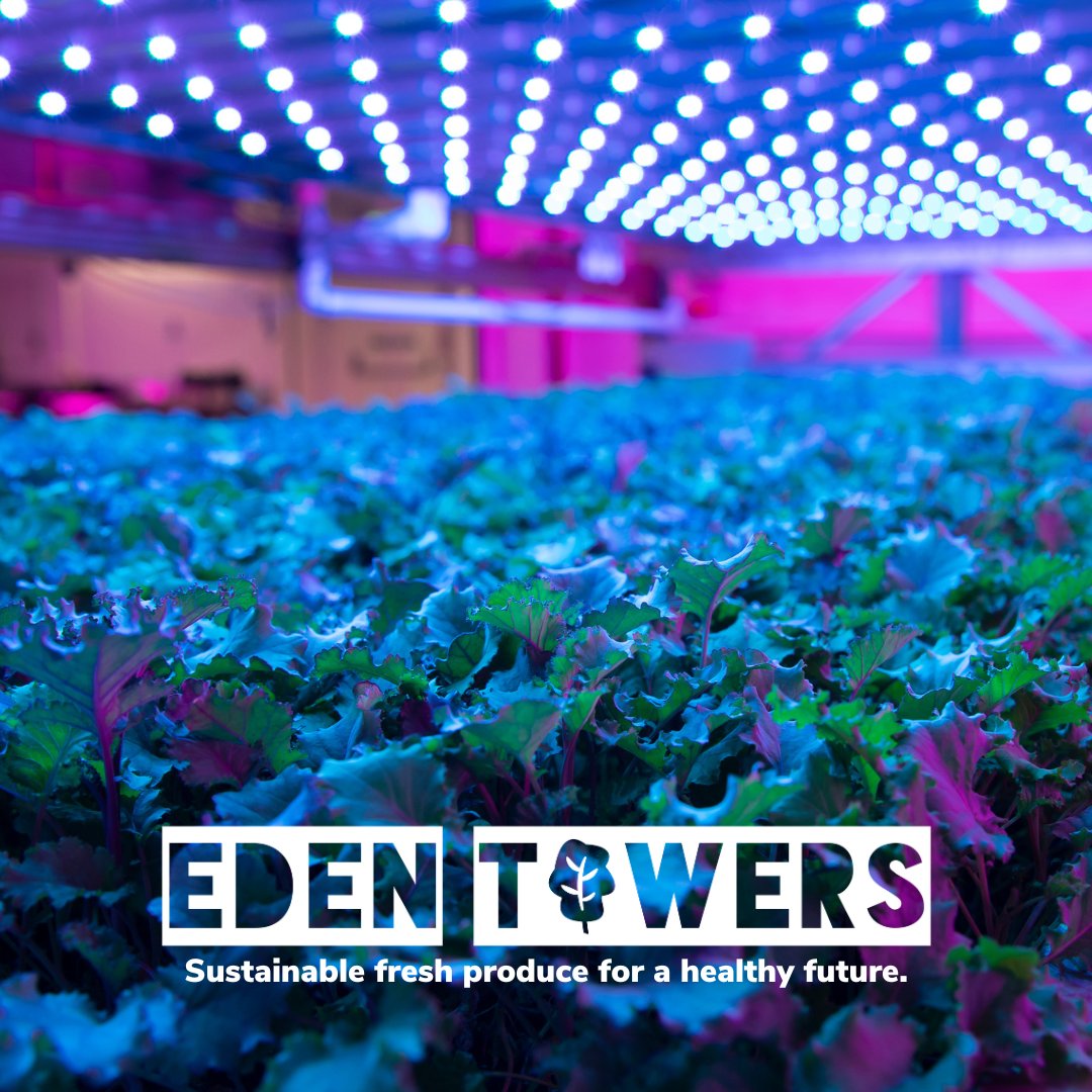 ThincLab tweet media