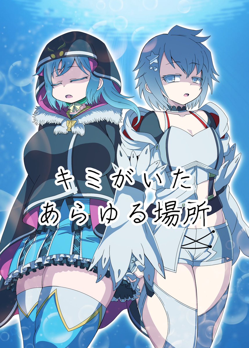 というわけで何とか間に合いそうなので新刊告知です B5版36pアニレコ時
