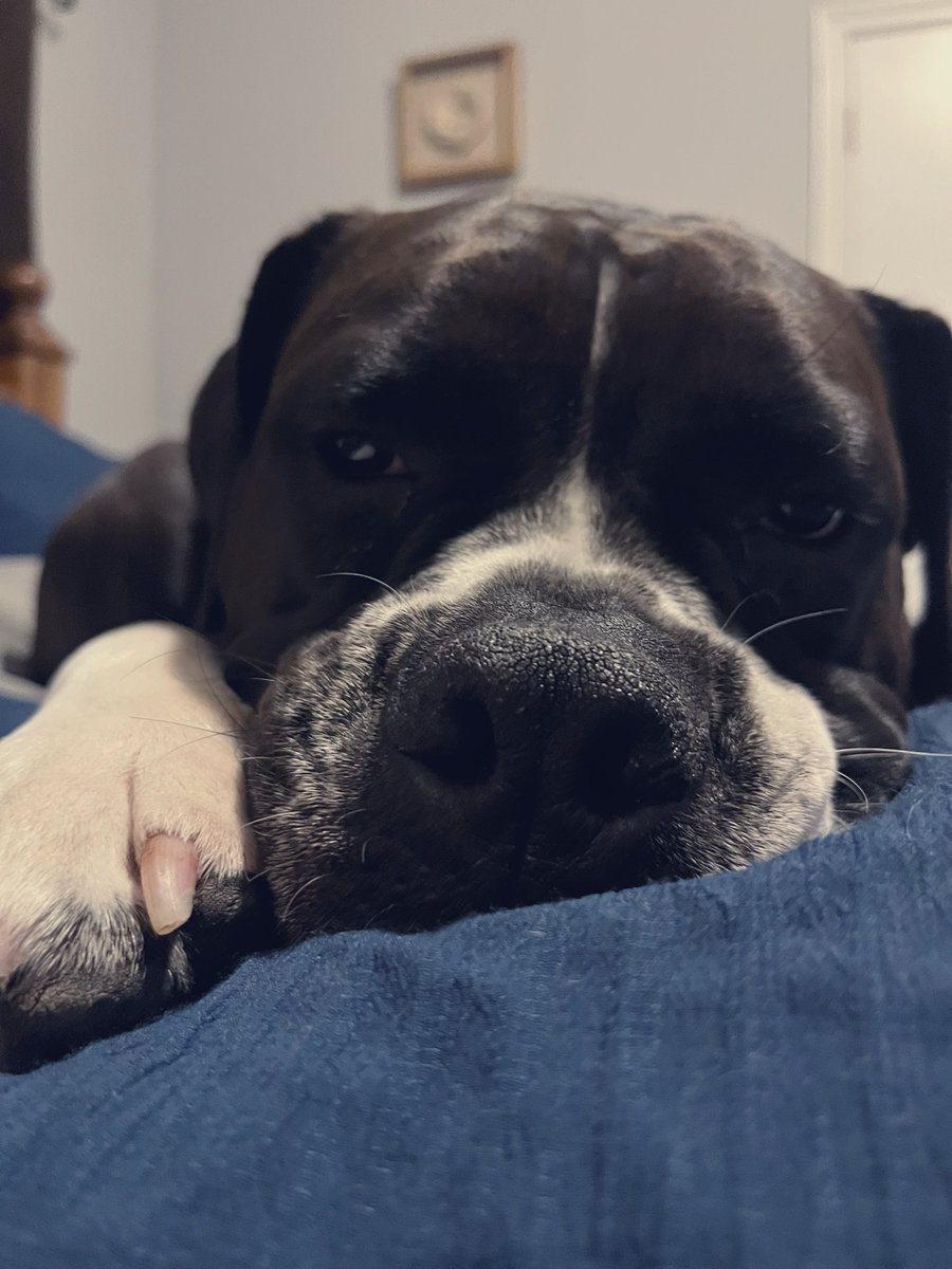 GN twitterverse 🤍🖤