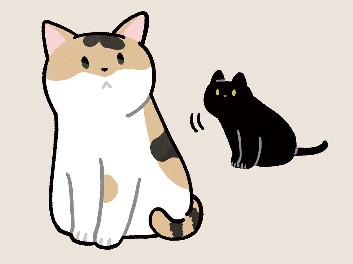 cat no humans simple background animal focus :< black cat animal  illustration images