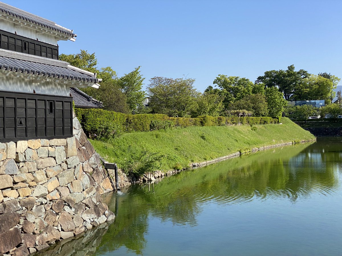 quartz_nbm's tweet photo. 松本城
戦国時代に、小笠原氏が深志城を築城しました。小笠原氏は、武田氏に滅ぼされましたが、後に旧領を回復して松本城と改称して近世城郭へと整備しました☺️

夜のライトアップされた姿は、漆喰塀の白さが引き立ち、夜空と黒漆て塗られた板張とのコントラストが美しいです✨ https://t.co/paiygTjusY