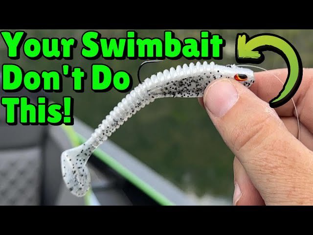 BassGeekFishing's tweet photo. This is a Incognito Swimbait!
➡️ https://t.co/s4mMf90ALK ⬅️
@bigdaddysbaits #bassfishing #swimbaits #bigdayddybaits #fishing #bassfishingtips #fishingtips #fishingtipsandtricks #bassgeek #USA https://t.co/zp8vjCO7vf