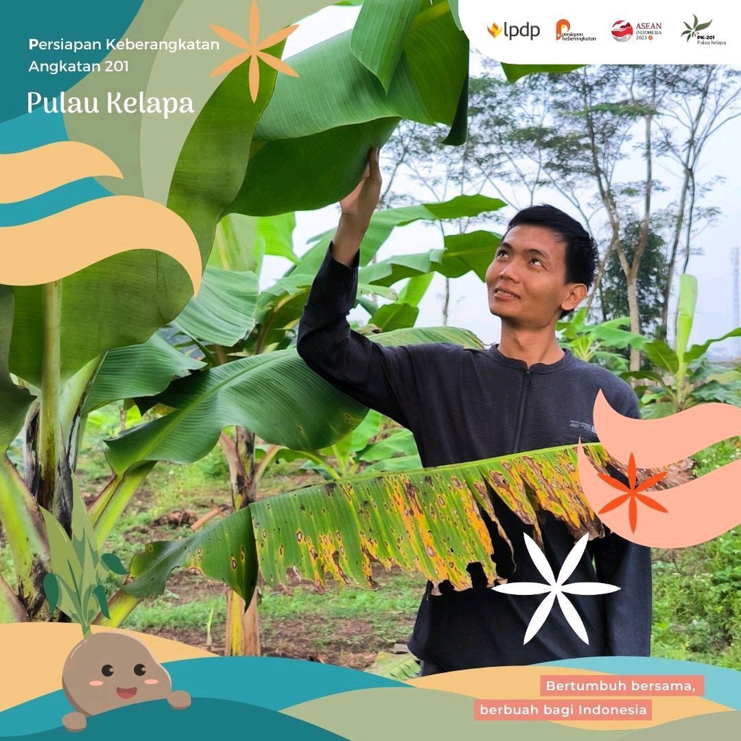 SUTRISNO7129's tweet photo. Melambai-lambai, Nyiur di Pantai
Tanah airku Indonesia 🌴

Saya, Sutrisno, bersama @pk201.lpdp Pulau Kelapa dan LPDP Kementerian Keuangan RI siap untuk "Bertumbuh bersama, berbuah bagi Indonesia" https://t.co/z5bSeSkMdt