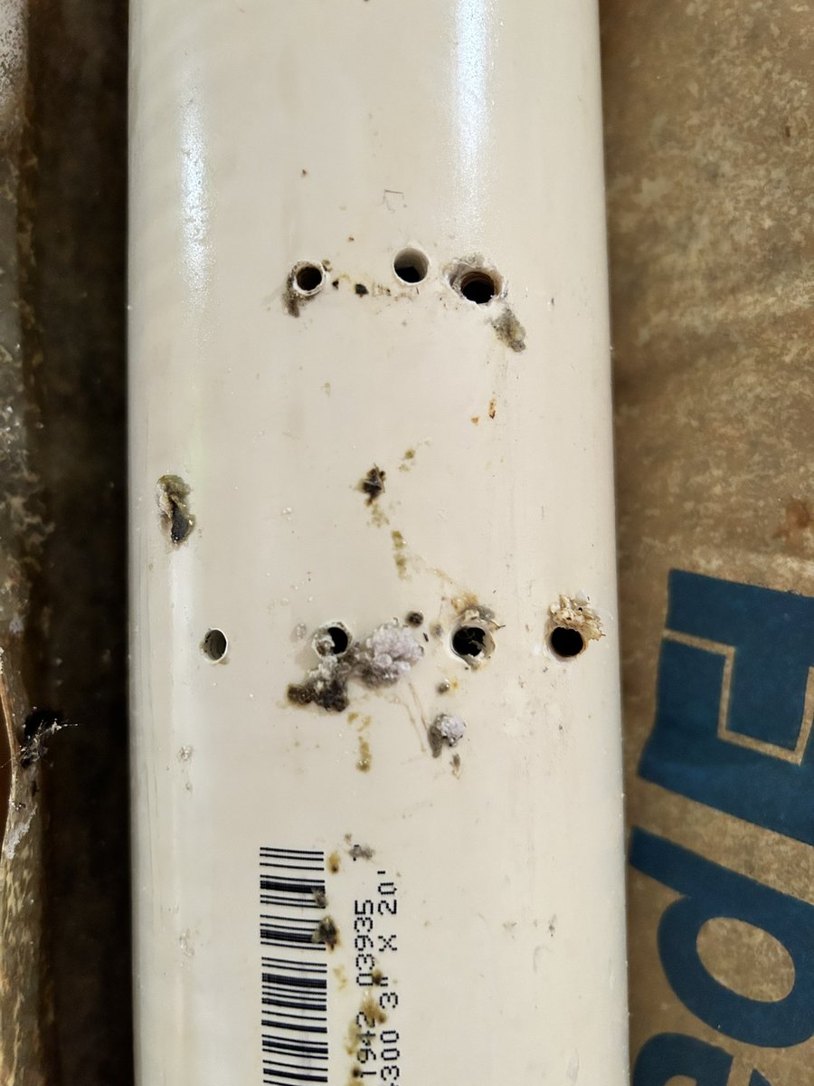 ShillaSaebi's tweet photo. Paid an extra $120 for @SamsungUS tv install &amp; installers caused a leak by drilling 9 holes into a pipe damaging our home.  There is a significant amount of mold behind drywall. Cust service is no help. Please take responsibility &amp; fix this #CustomerServiceFail @SamsungSupport https://t.co/iTerBDwroi