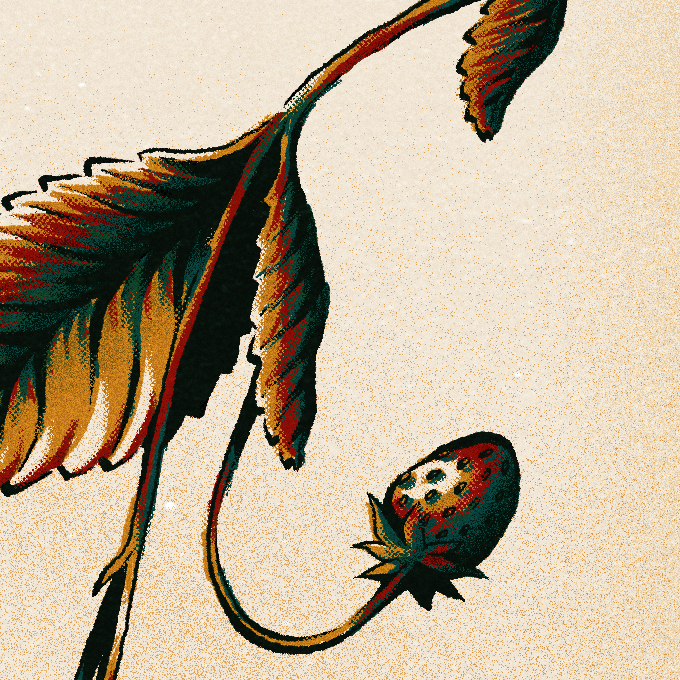 EntirelyBees's tweet photo. some crunchy details. dissolve mode is my new best friend https://t.co/eHDbDD6hbC