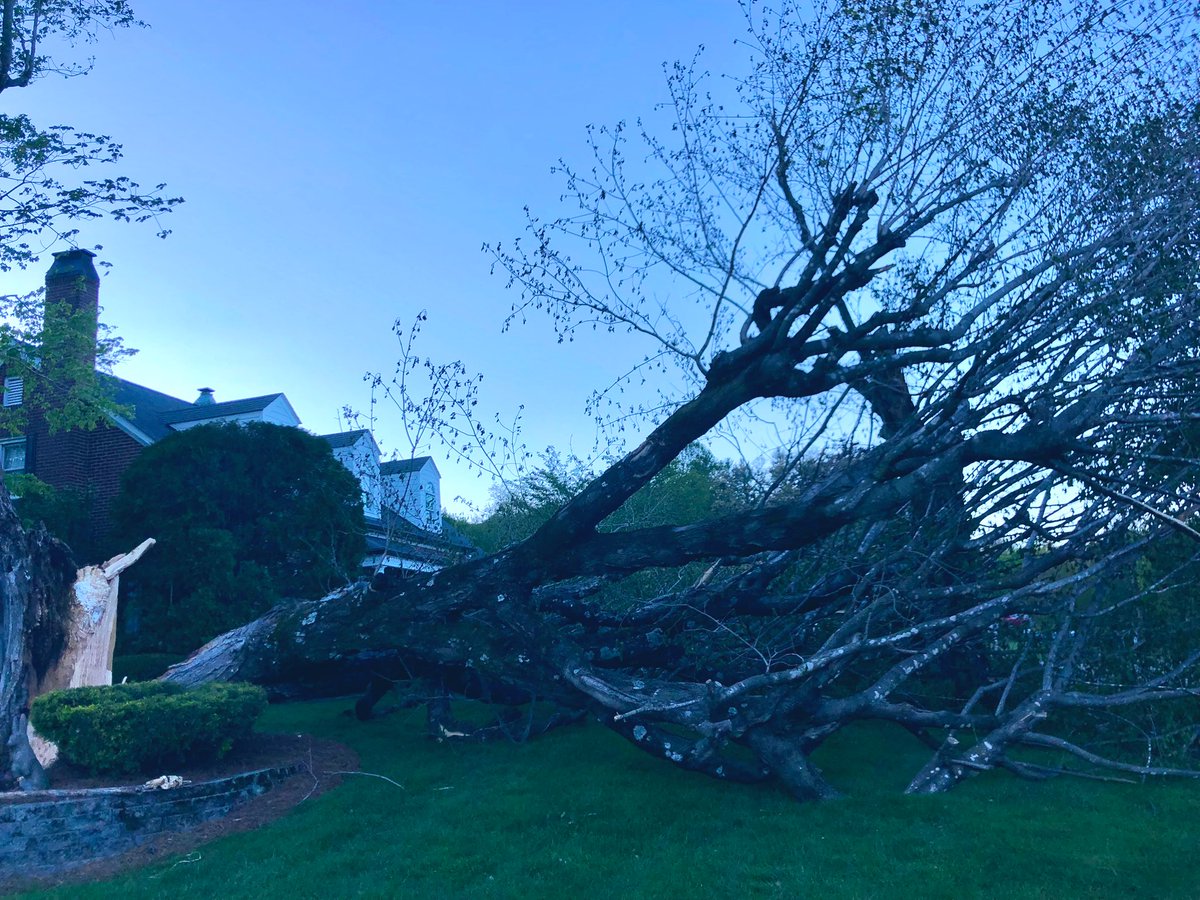 TealSeptember's tweet photo. Trees falling left and right everywhere here in the county. We had five nice big pines fall here at our home. #trees #tree #fallentrees #nature #tomuchrain #windy #highwinds #rain #raining #weather #nastyweather #NorthCarolina #Appalachian #blueridge #mountains #pines #pinetrees https://t.co/hrwuy8nNMK