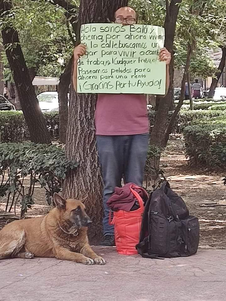 amilindaheidi's tweet photo. Balú y Chema viven en la calle y están buscando trabajo para encontrar dónde vivir. Hoy les encontré en #parquemexicocondesa
Chema sabe hacer redes sociales, pasear perris y manejar y Balu es un amor.
Les dejo su tel 5561398076 Chema y Balu
#adoptanocompres #perrhijo #ApoyoMutuo https://t.co/xS6t0iloYD