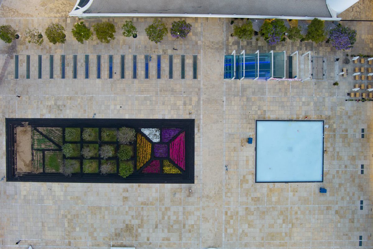 Bar Peleg on Twitter