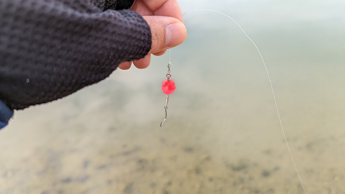 PhotoHayasaka's tweet photo. 釣れた釣れた🎣
管釣りおもろい！
朝イチ、おゆプラルアー出ました！

#エリアトラウト #釣り #ルアーフィッシング https://t.co/sBHJaboJXu