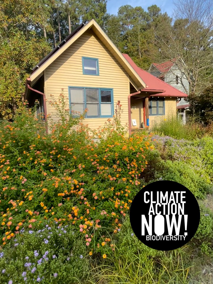 🌿Climate Action NOW—Biodiversity🌺🦋🐝🐞 tweet media