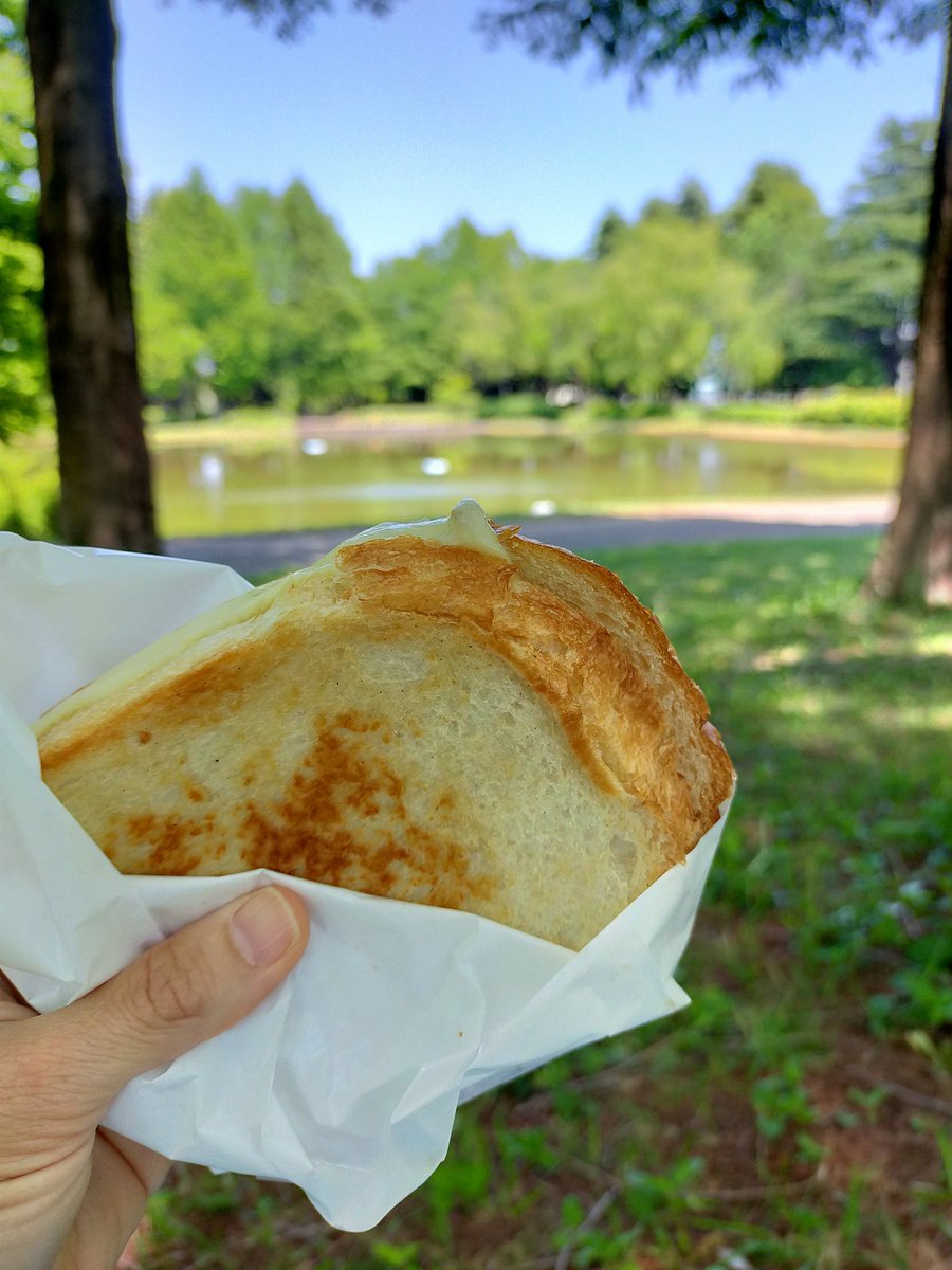 artmediak's tweet photo. 友人を訪ねに彩の国公園ジャクソンセンターへ。常設のキッチンカーでホットサンドをパクリ。持ってきたサイフォン珈琲と１人でピクニック。最高でーす☕ https://t.co/jefh1QO3Ia