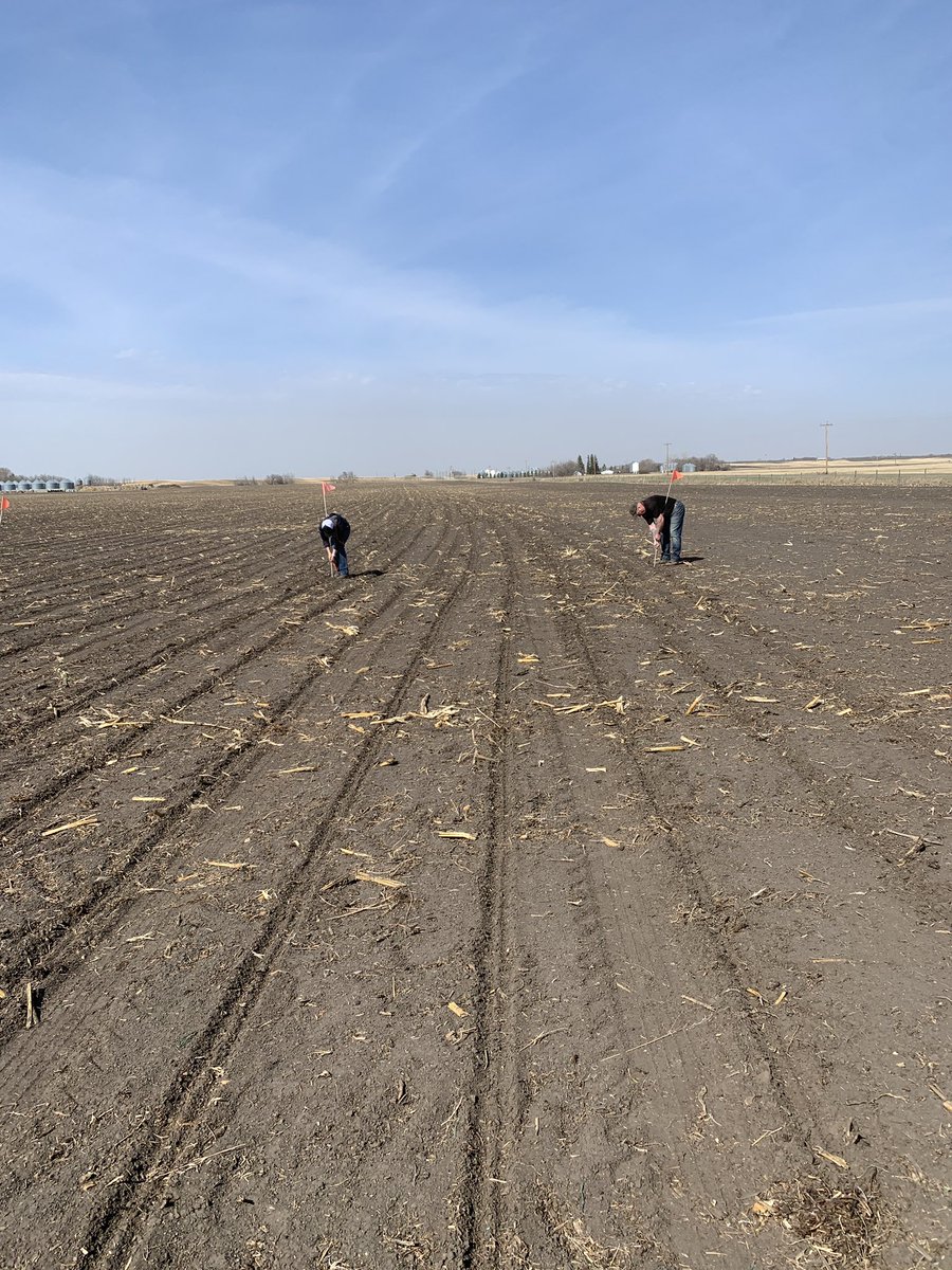 TeamNEABBCS's tweet photo. Working at getting that local data in the ground today!!! @Bayer4CropsCA https://t.co/TzLIYDHlGq