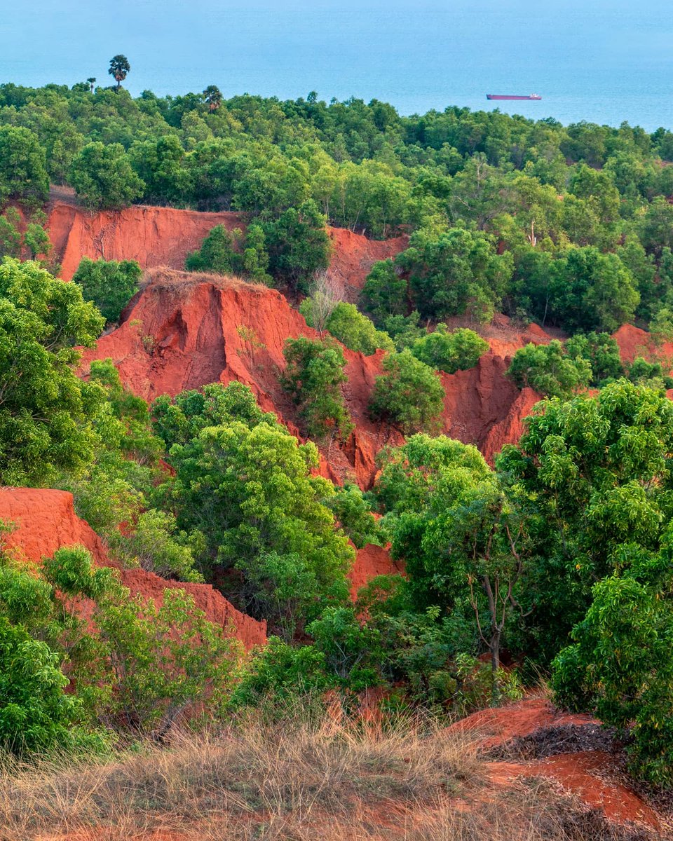 Praveen_nature's tweet photo. #RedSandDunes #Redsand #Dunes #Redsoil #ErraMattiDibbalu #Red #Beautiful #Nature #NatureBeauty #Naturelover #Natureshot #NaturePhotography #Bheemli #Vizag #Vishakapatnam #Andrapradesh #India #IncredibleIndia https://t.co/7SzDZroNmU