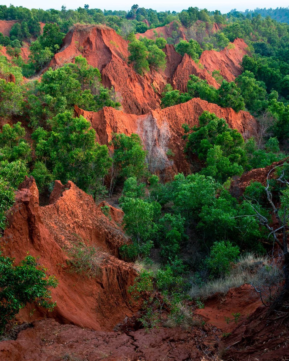 Praveen_nature's tweet photo. #RedSandDunes #Redsand #Dunes #Redsoil #ErraMattiDibbalu #Red #Beautiful #Nature #NatureBeauty #Naturelover #Natureshot #NaturePhotography #Bheemli #Vizag #Vishakapatnam #Andrapradesh #India #IncredibleIndia https://t.co/7SzDZroNmU