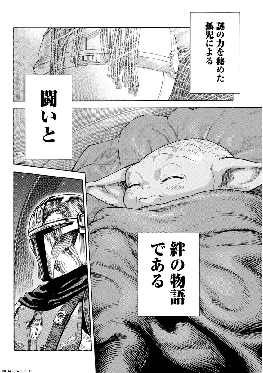 (11/11)
