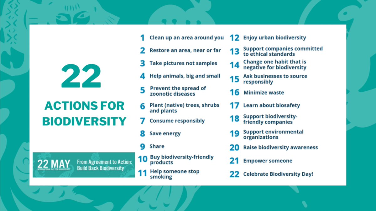 Join the movement towards a greener tomorrow! Check out these 22 impactful actions to help rebuild our planet's precious biodiversity. 🌿🌍 #BuildBackBiodiversity #SustainableLiving #TogetherForNature #IDB2023 #BiodiversityDay