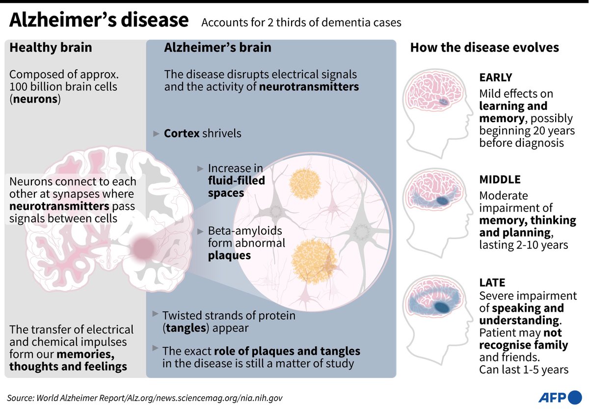 AFPGraphicsRT's tweet image. RT @AFP: Alzheimer's disease.
#AFPGraphics on Alzheimer's disease, which accounts for 60-80% of dementia, according to the Alzheimer's Association. It progressively destroys thinking and memory, eventually robbing people of the ability to carry out the …