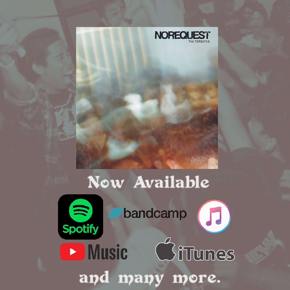 norequest tweet media