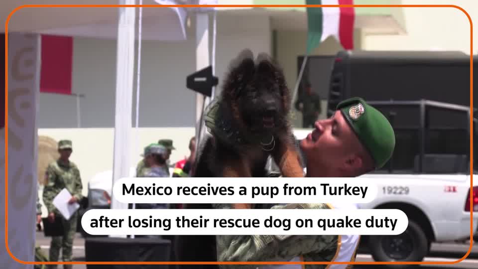 La Méndiga Política on Twitter "RT Reuters Mexico's army a