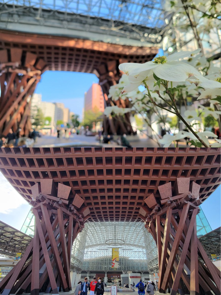 Commuting_rush's tweet image. 約1年ぶりの旅行。
今回は北陸新幹線開業以来初金沢でした。
いやー本当に良いとこで、もはや住みたいくらい‼️
海鮮もの好きな私にはたまりませんねー🐟𓆛𓆜𓆝𓆞𓆟
#金沢観光 
#小京都
#グルメ
#金沢城
#兼六園
#近江町市場
#ひがし茶屋街 
#のどぐろ
#金沢おでん
#牡蠣
#ハントンライス