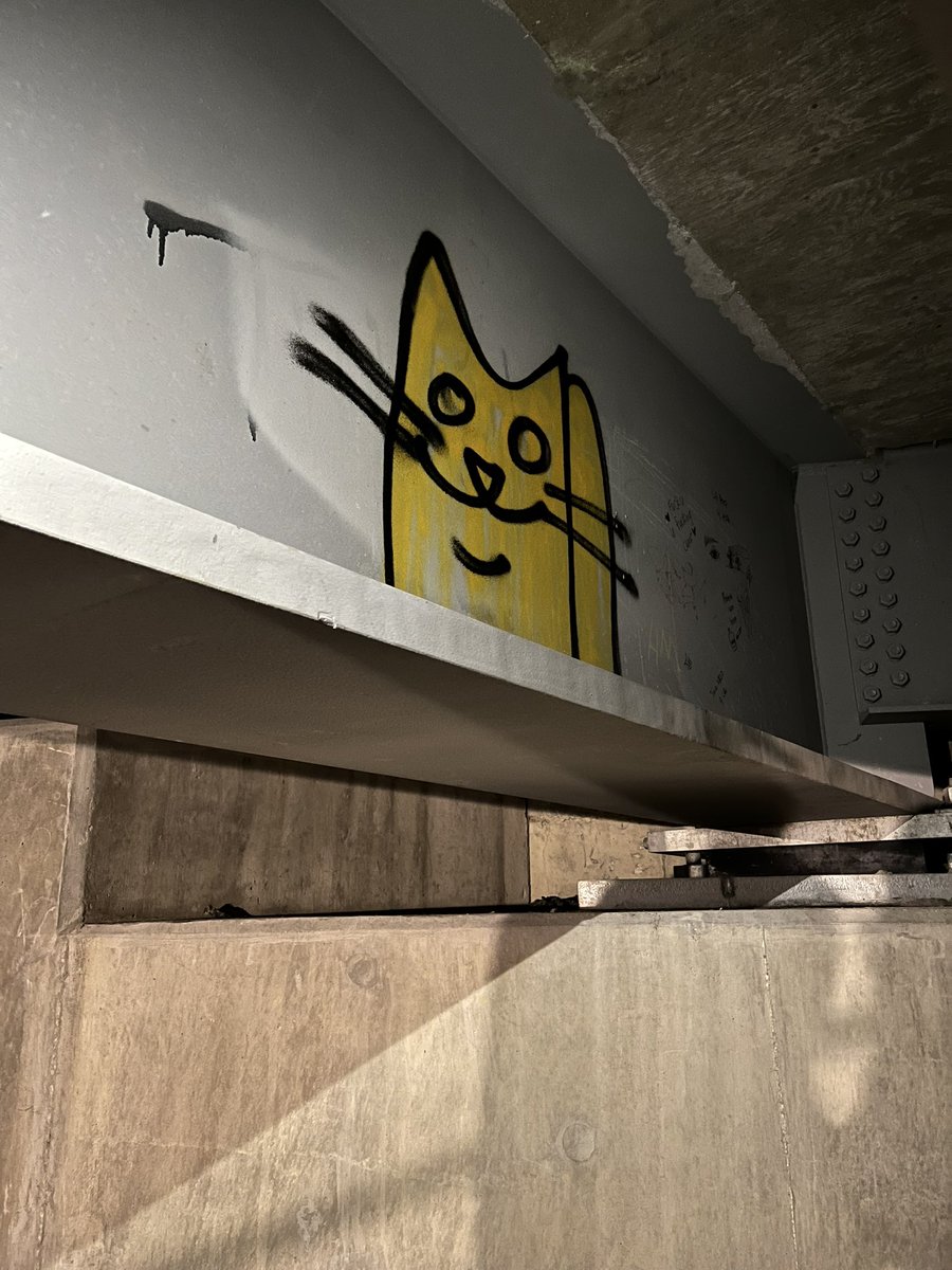 Summer goal: find cat graffiti in Winnipeg any%