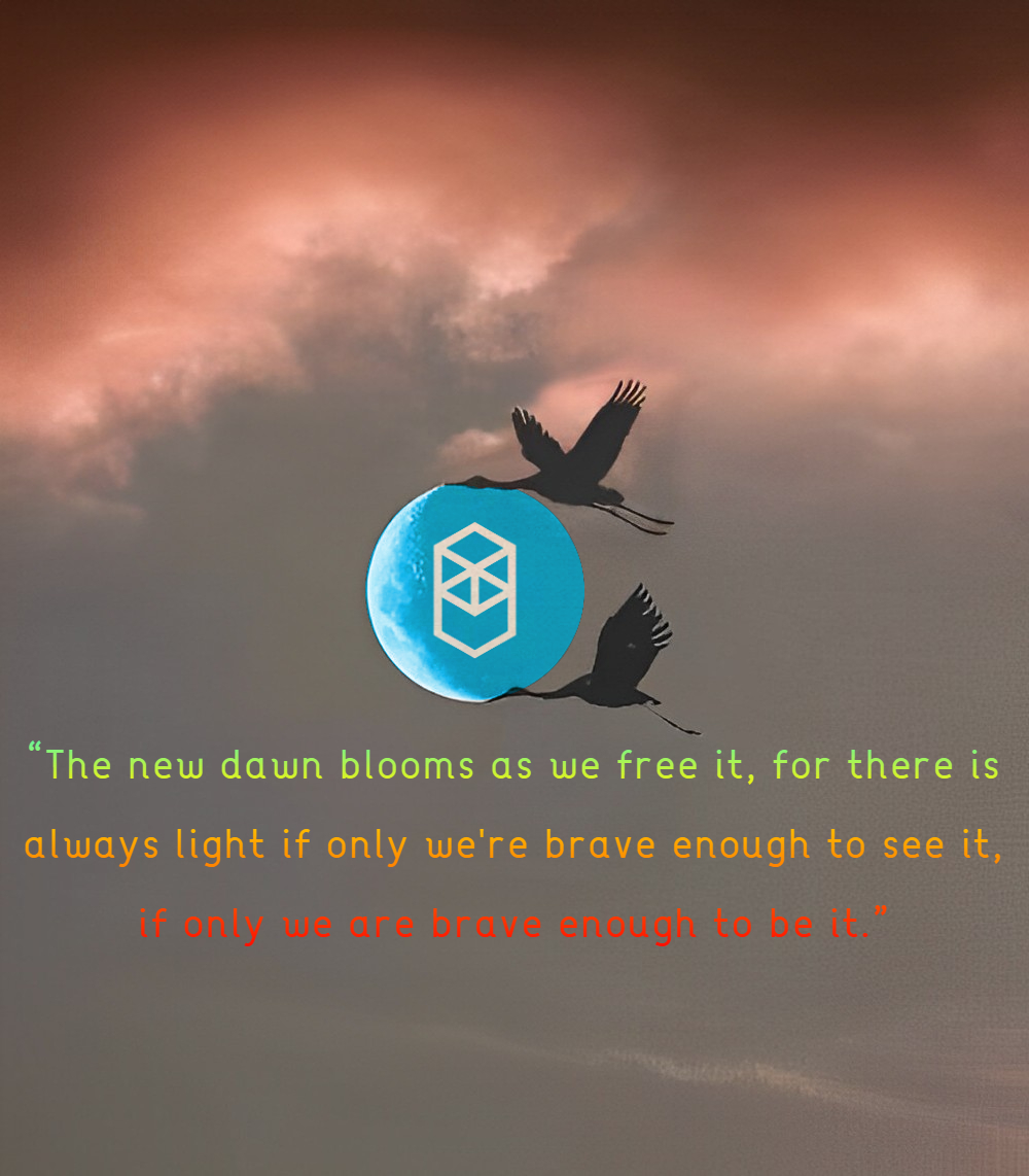 FantomSonicX 💥 tweet media